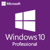 Microsoft Windows10 Professional