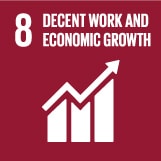 Ziel 8 menschenwürdige Arbeit und Wirtschaftswachstum