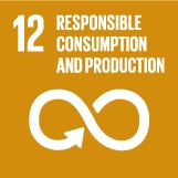 Ziel 12 für nachhaltigen Konsum und Produktion sorgen